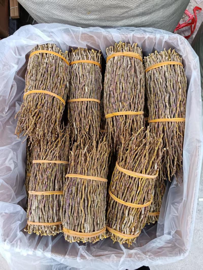 2025新货浙江铁皮石斛打粉条寸金条捆条芽条红杆软脚切片