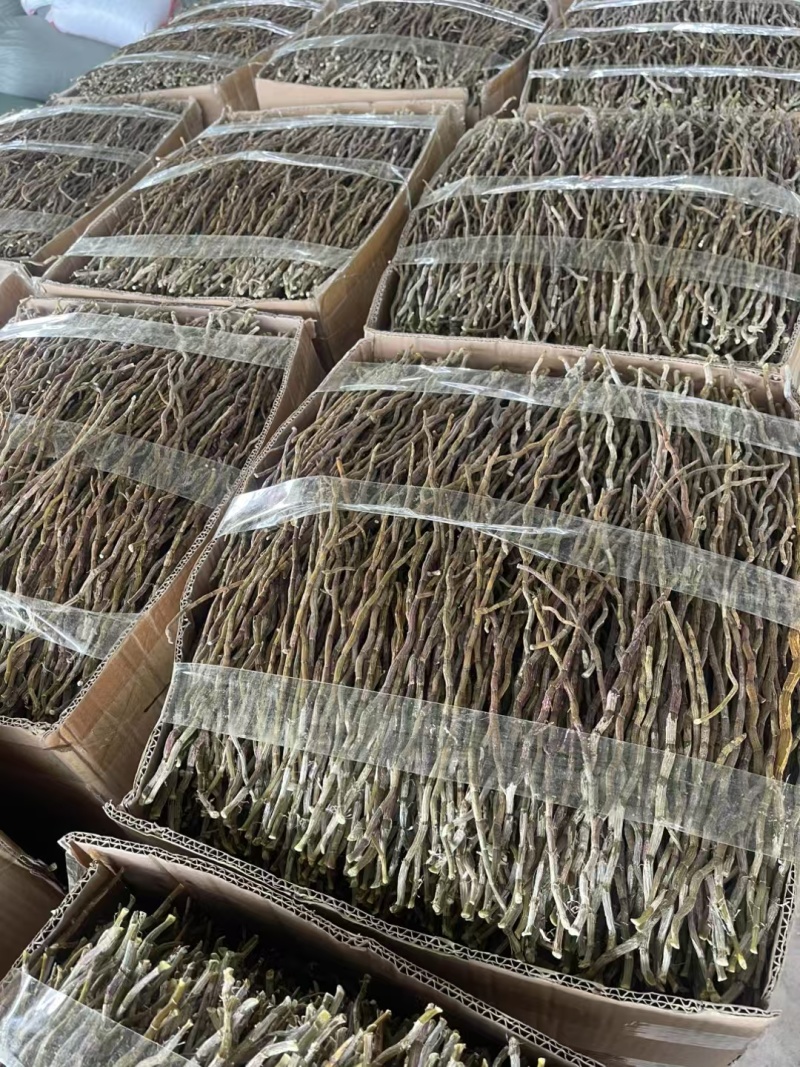 2025新货浙江铁皮石斛打粉条寸金条捆条芽条红杆软脚切片