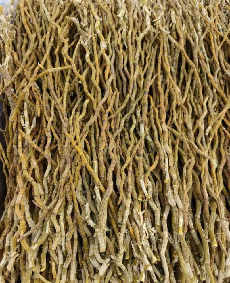 2025新货浙江铁皮石斛打粉条寸金条捆条芽条红杆软脚切片