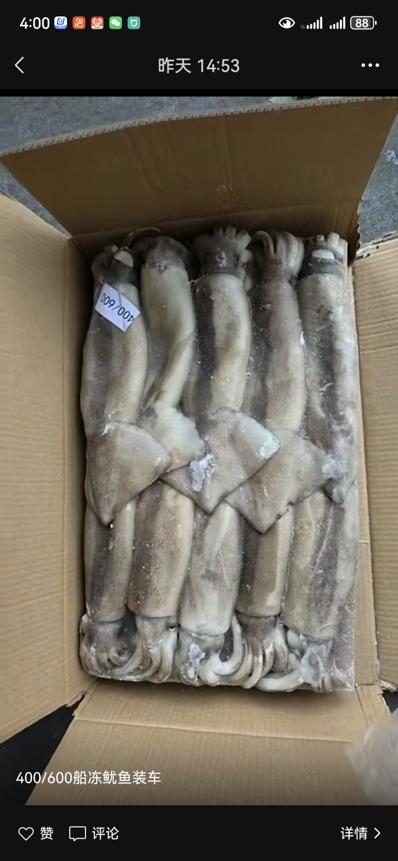 整条鱿鱼鱿鱼原条大鱿鱼整条鱿鱼20斤/件