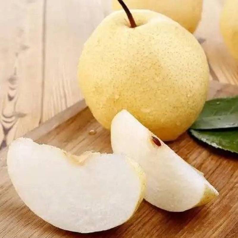 山西酥梨原产地发货品质保障货源充足量大价优