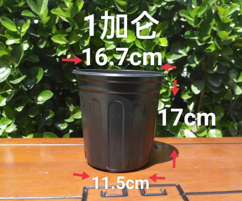 推荐黑加仑盆厂家直供规格齐全量大从优欢迎联系