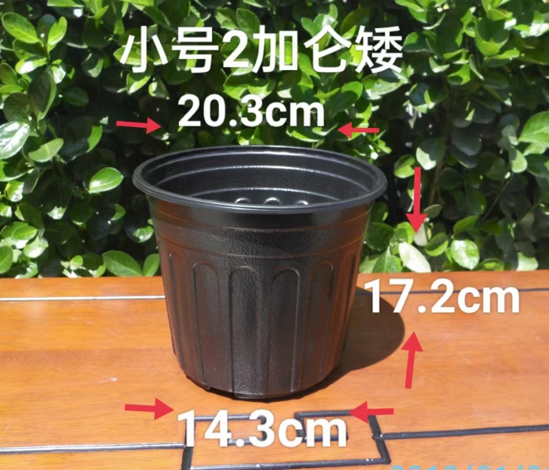 推荐黑加仑盆厂家直供规格齐全量大从优欢迎联系