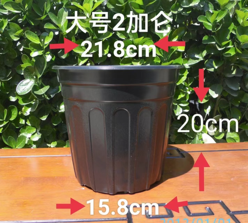 推荐黑加仑盆厂家直供规格齐全量大从优欢迎联系