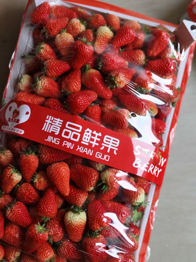 临沂万亩草莓产地批发交易市场