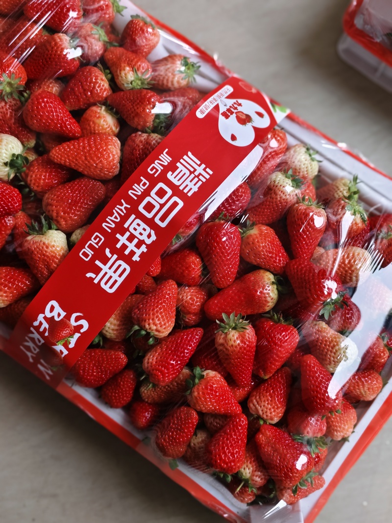 临沂万亩草莓产地批发交易市场