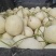 海南玉菇甜瓜，软糯香甜，大量供应电商市场，代发全国