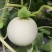 海南玉菇甜瓜，软糯香甜，大量供应电商市场，代发全国