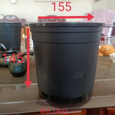 推荐硬黑加仑盆规格齐全厂家直供量大从优全国发货