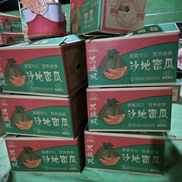宁夏哈密瓜晓蜜25