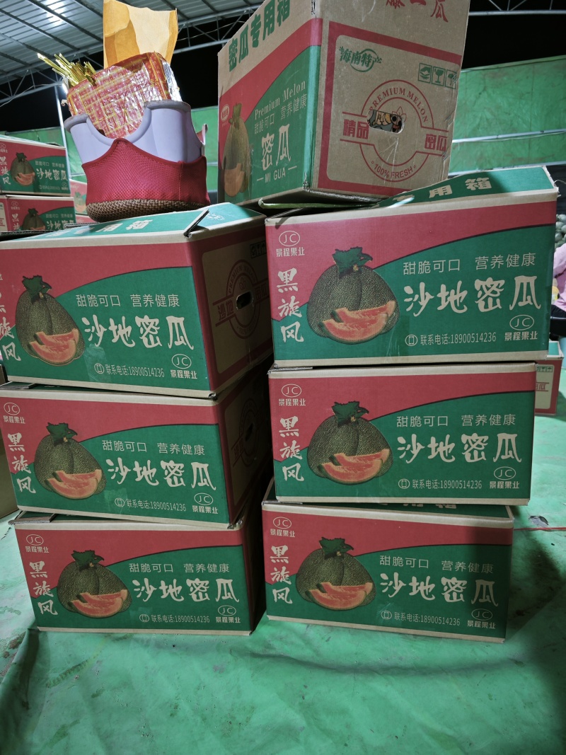 宁夏哈密瓜晓蜜25