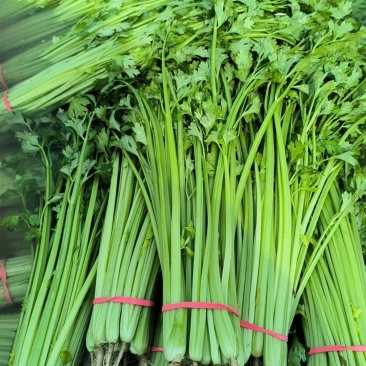 精品小香芹大量上市，全国发货，量大从优，欢迎致电