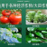 根果多微生物菌剂微生物菌剂菌肥菌剂