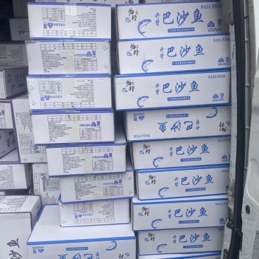巴沙鱼