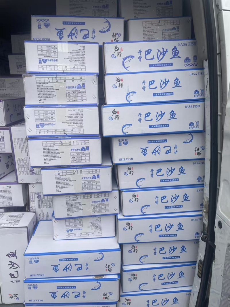 巴沙鱼