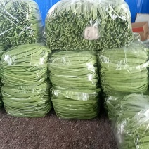 扁青芸豆，物美价廉，货源充足