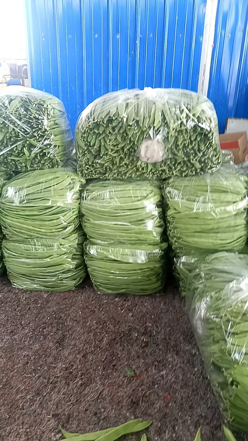 扁青芸豆，物美价廉，货源充足