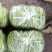 扁青芸豆，物美价廉，货源充足