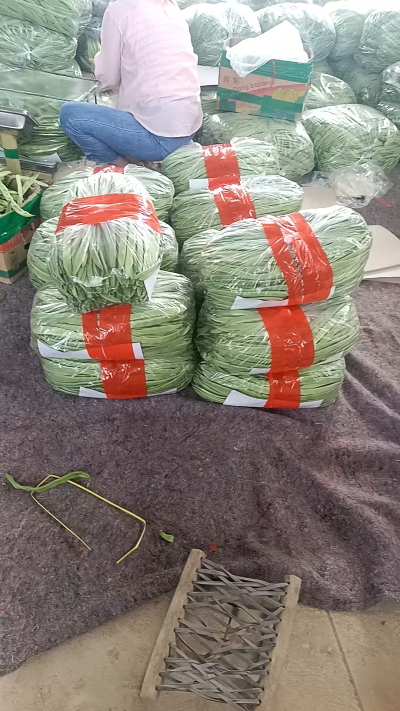 扁青芸豆，物美价廉，货源充足