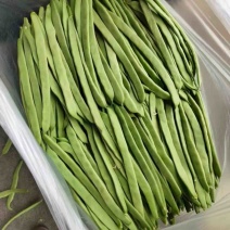 济南市商河县蔬菜大棚种植基地