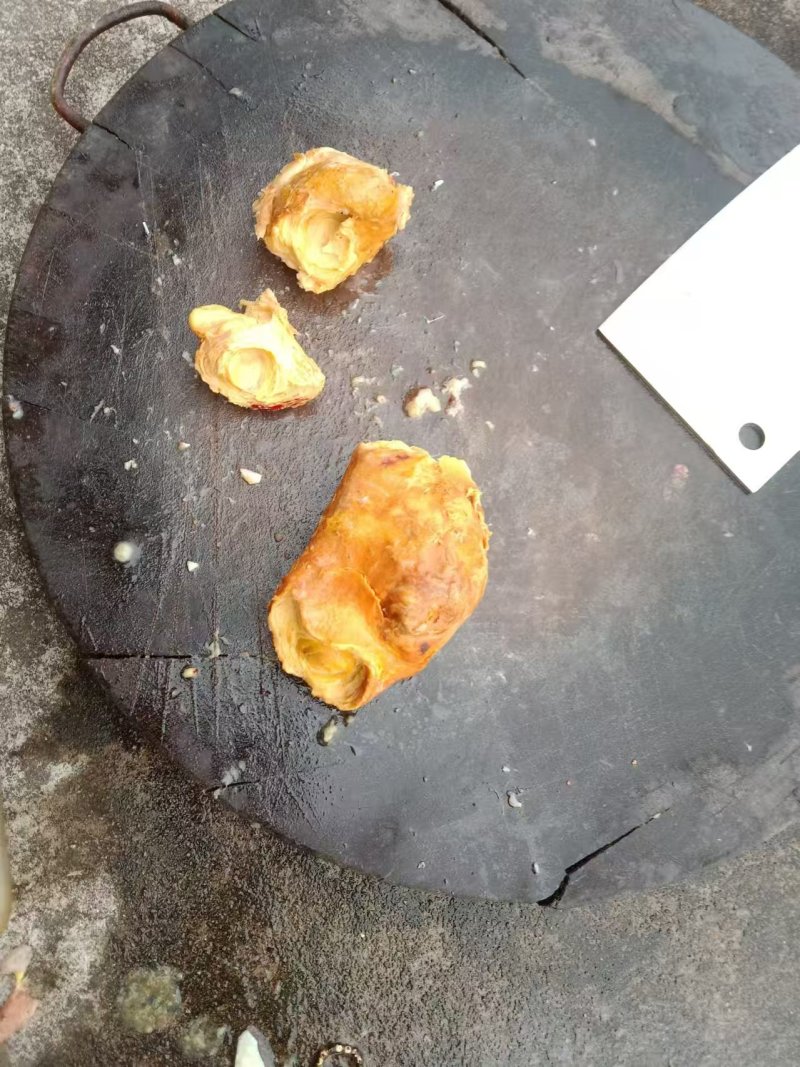 广东鸡宝大量有货价格美丽欢迎电话联系