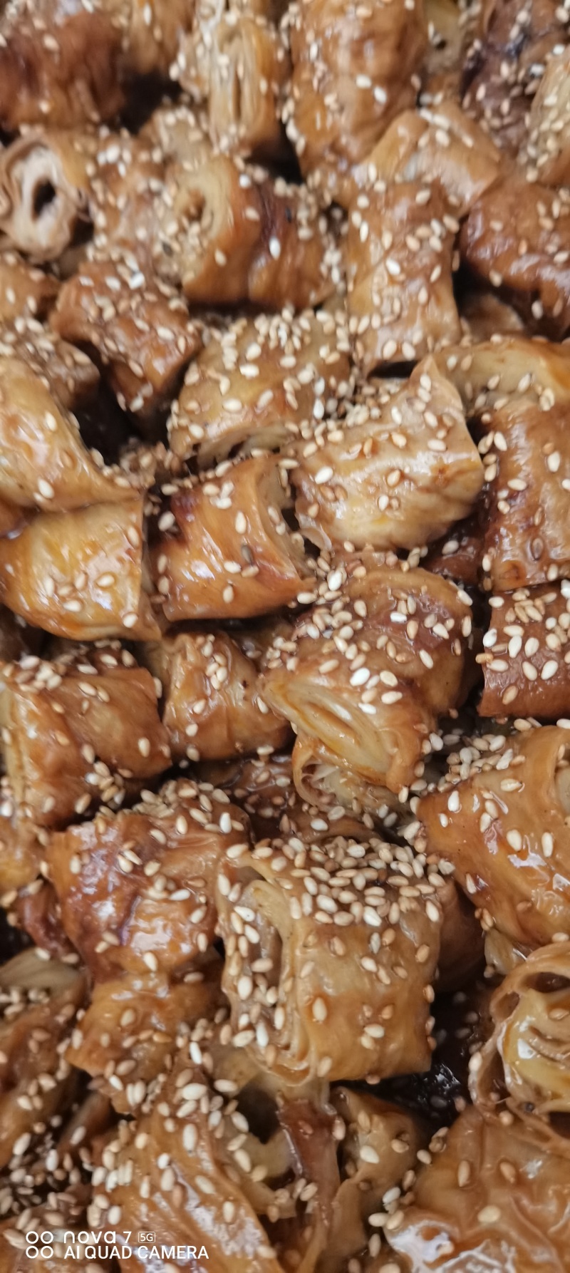 面筋！素大肠