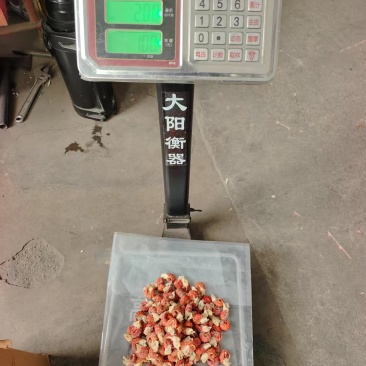 一级纯干龙虾尾