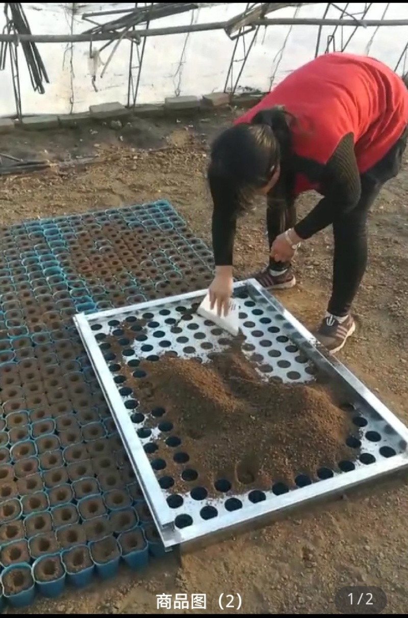 装土神器