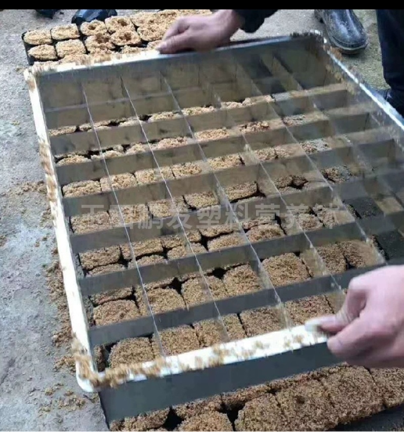 装土神器