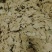 豆饼碎豆饼厂家直销量大价优支持视频看货欢迎来电