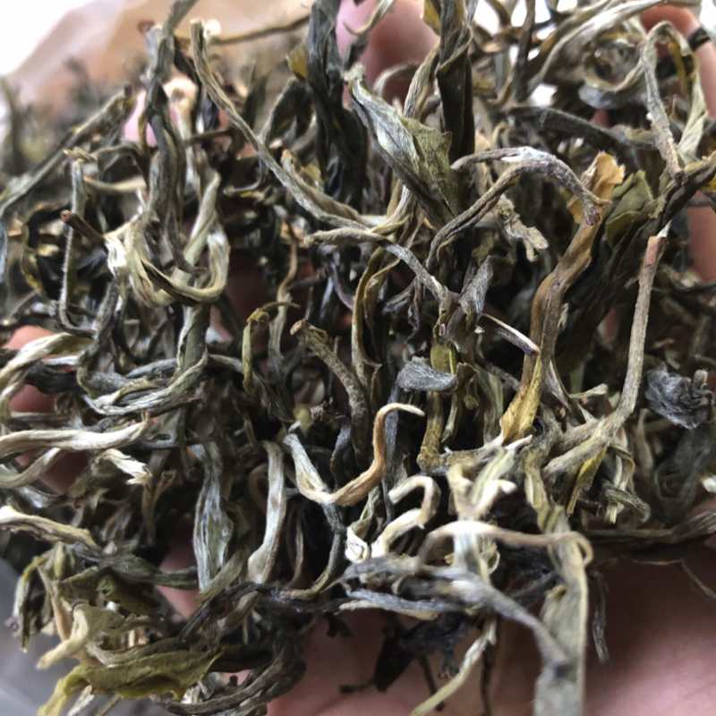 绿茶普洱茶生茶台地普洱散茶