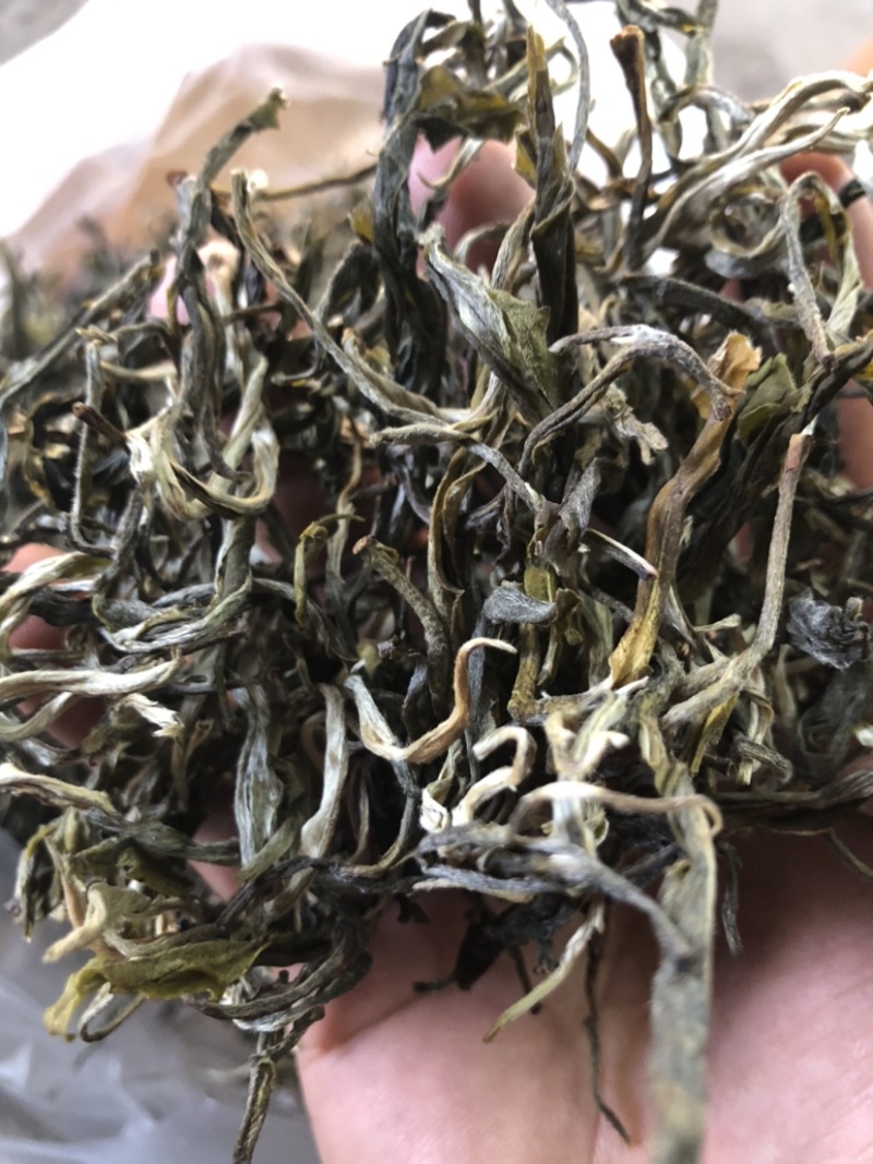 绿茶普洱茶生茶台地普洱散茶