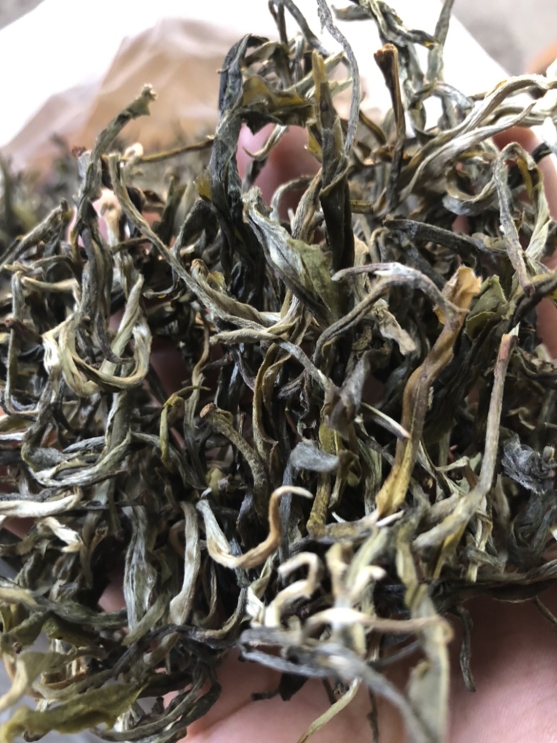 绿茶普洱茶生茶台地普洱散茶