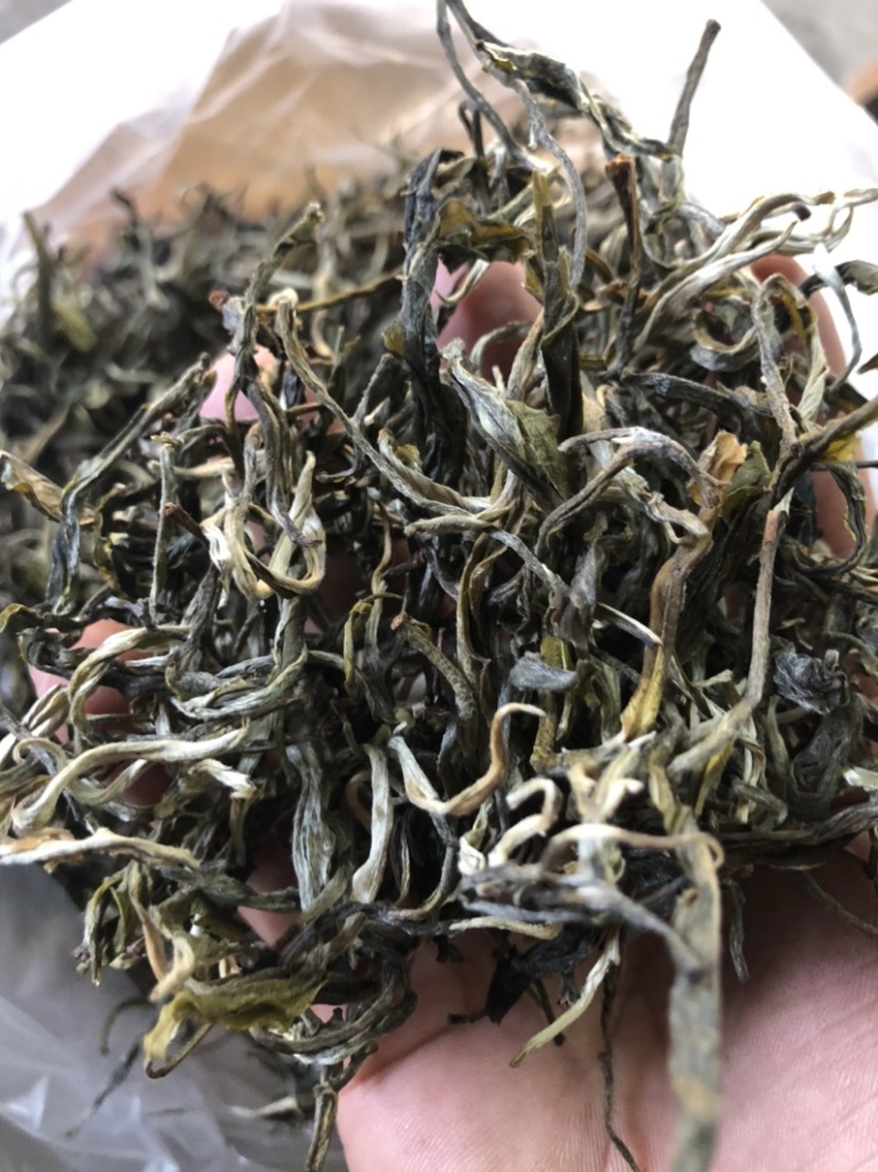 绿茶普洱茶生茶台地普洱散茶