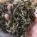 绿茶普洱茶生茶台地普洱散茶