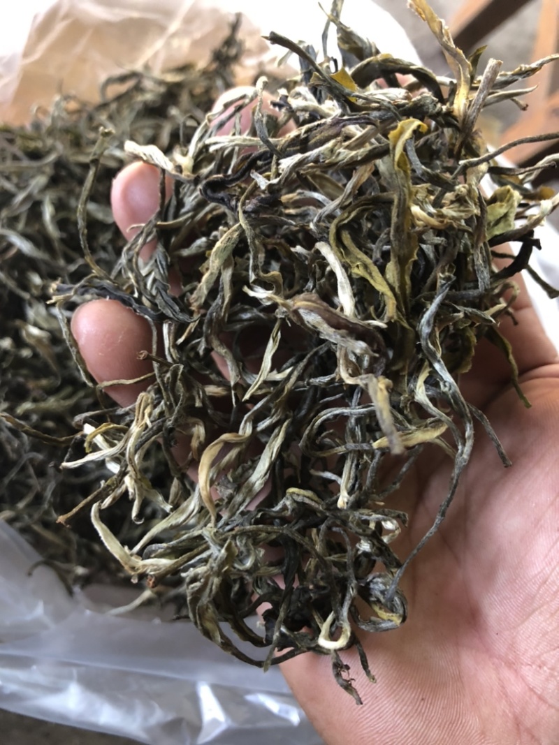 绿茶普洱茶生茶台地普洱散茶