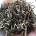 绿茶普洱茶生茶台地普洱散茶