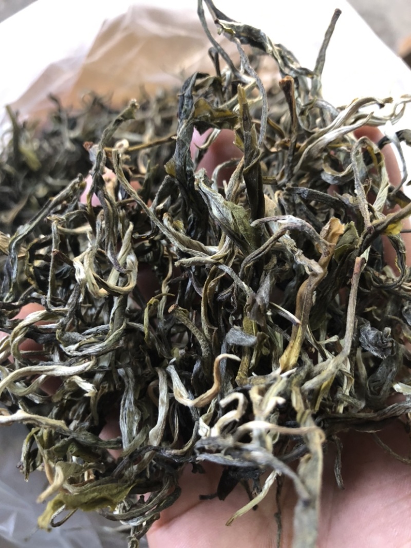 绿茶普洱茶生茶台地普洱散茶