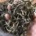 绿茶普洱茶生茶台地普洱散茶