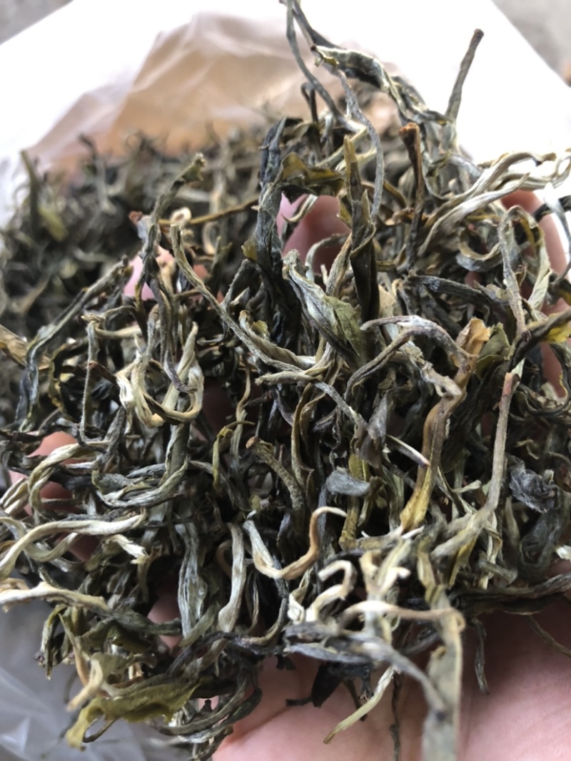 绿茶普洱茶生茶台地普洱散茶