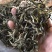 绿茶普洱茶生茶台地普洱散茶