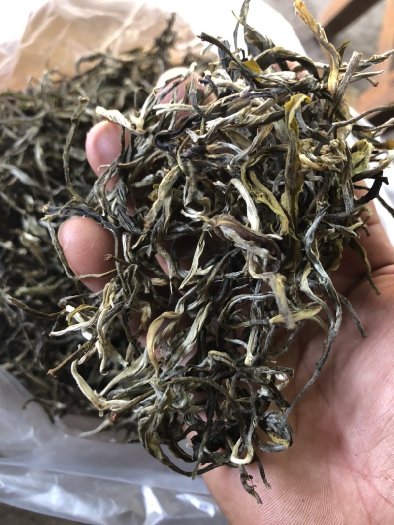 绿茶普洱茶生茶台地普洱散茶