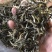 绿茶普洱茶生茶台地普洱散茶