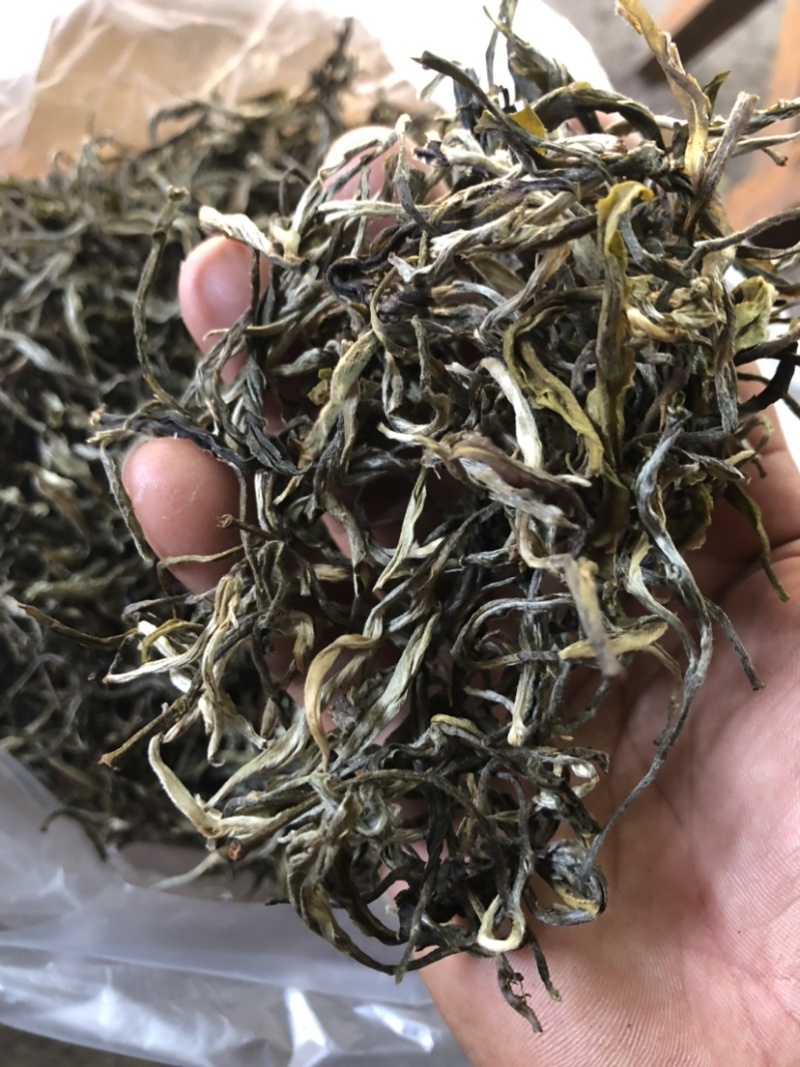 绿茶普洱茶生茶台地普洱散茶