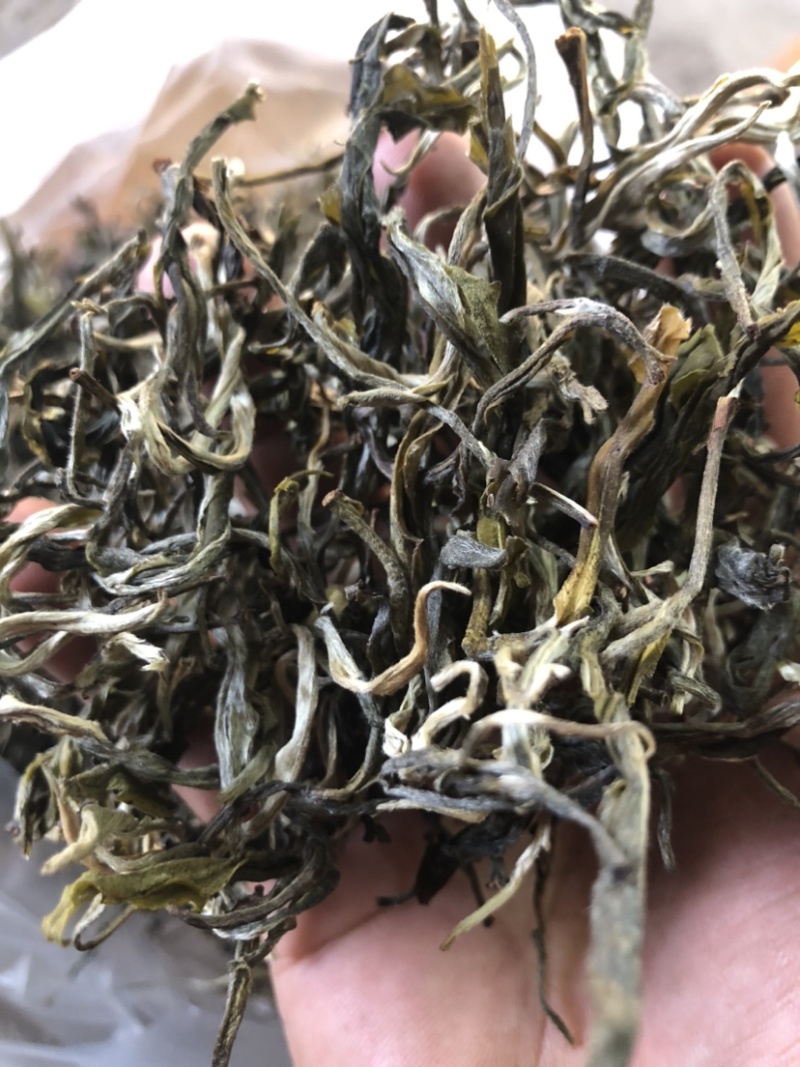 绿茶普洱茶生茶台地普洱散茶