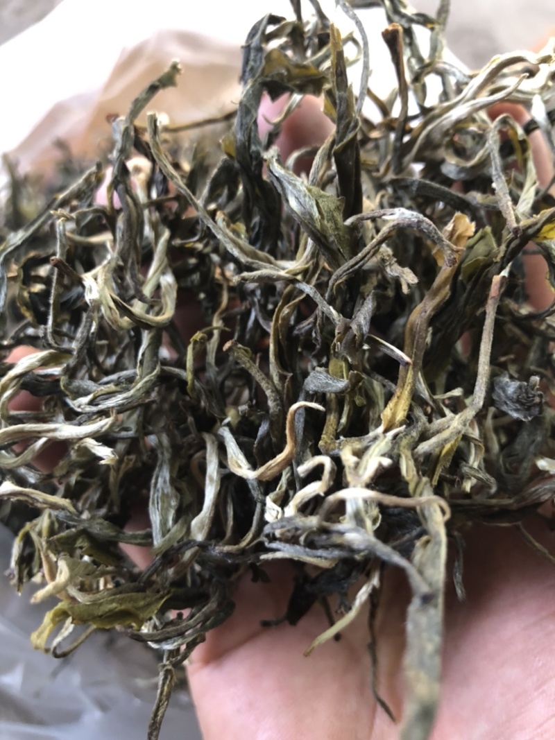 绿茶普洱茶生茶台地普洱散茶