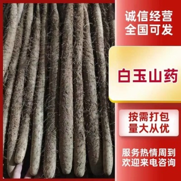 精品白玉山药，条形好口感面甜，价格优惠全国可发
