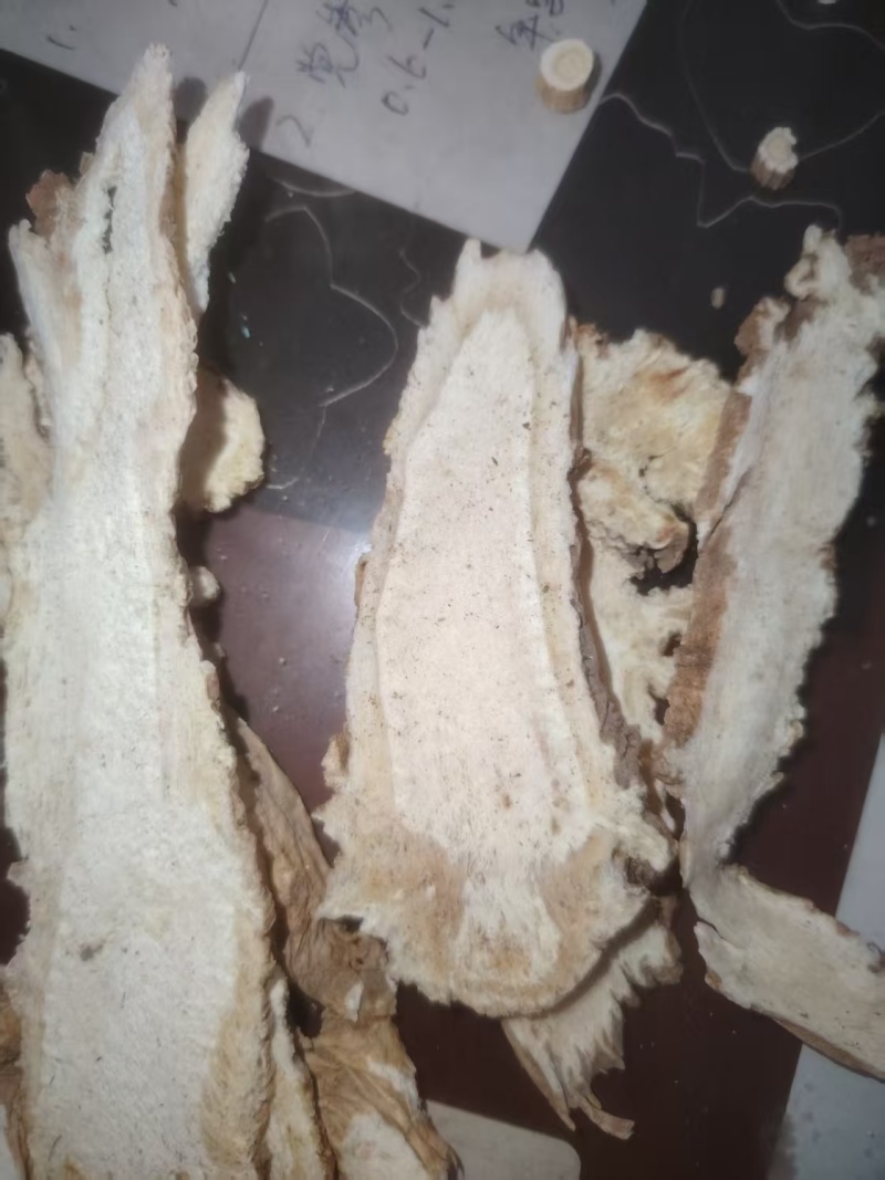 独活头片