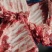 多肉小排185加6052这72微59聊