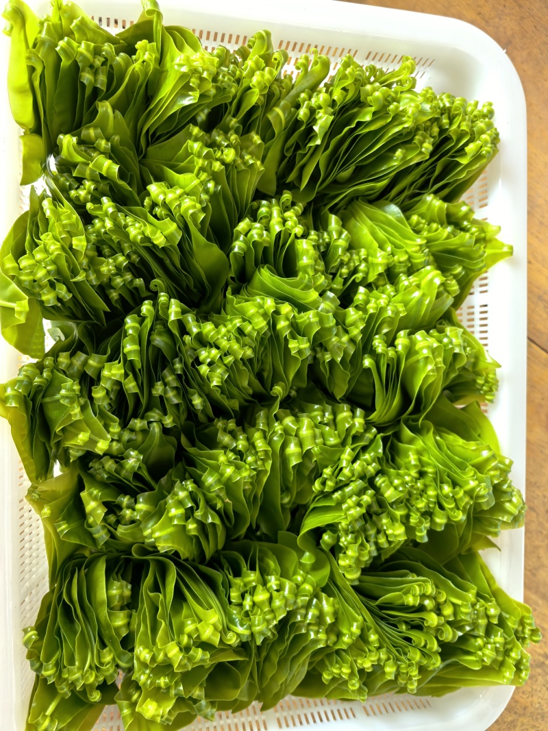 台湾山苏菜